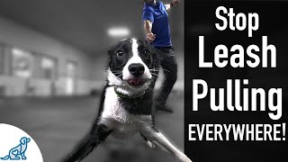 How To Teach Your Dog Not To Pull On The Leash EVER [upl. by Giffy]