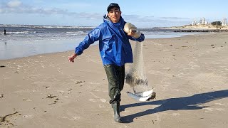 Pescas de tarrafas 060924 manhã Praia Imbé RS netfishing tainhas pesca mullets fishing [upl. by Sukramal]