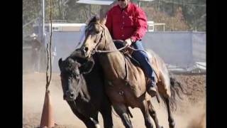 Acres Destinys Stars of Campdrafting May 2010 [upl. by Perrine]