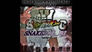 TEI SA KADRE  MAXVILLE DJ  X SNAKEBOEDJKvtMix22 [upl. by Earla]