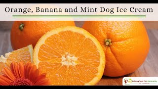 Healthy Homemade Dog Ice Cream Recipe  Ice Cream for Dogs Orange Banana and Mint Dog [upl. by Akim]