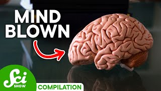 5 Brain Facts That Will Blow Your Mind [upl. by Amehr]