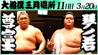 大相撲 尊富士ー琴ノ若＜令和６年三月場所・１１日目＞SUMO [upl. by Teryl]