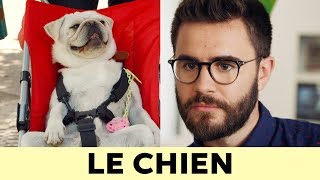 PRESQUE ADULTES EP2  LE CHIEN [upl. by Ecinerev]