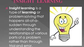 THEORY OF INSIGHT LEARNING  Concept of Psychology [upl. by Essirahs]