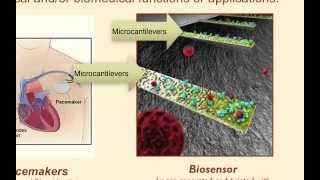 BioMEMS Applications Overview [upl. by Dahsar]