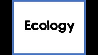 UNIT 11 Ecology Biogeochemical Cycles Food Chains [upl. by Vachel]