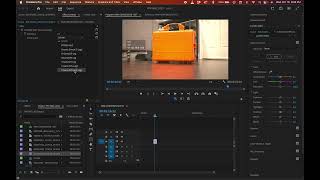 ProRes RAW and CinemaDNG to DLog Conversion  Premiere Pro Preset  DJI Inspire 3 [upl. by Nnylyram]