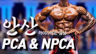 🌍 PCA ⚔️ NPCA 안산 명승부 다시보기 [upl. by Aldarcie]