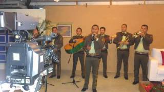 Mariachi Voces del Cielo [upl. by Christin856]