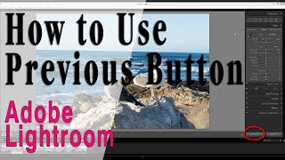 How to Use the Previous Button in Lightroom [upl. by Heilner]