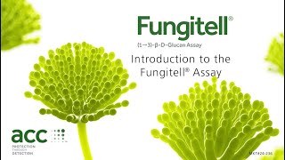 Fungitell® Training Video [upl. by Norabel]