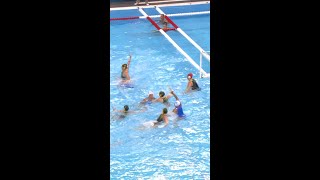 Know everything about water polo [upl. by Carny]