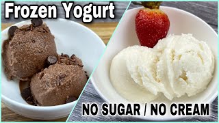 Frozen Yogurt No Sugar No Cream  Vanilla Frozen Yogurt  Chocolate Frozen Yogurt FROYO [upl. by Lissner]