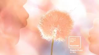 Peach Fuzz a Cor Do Ano Pantone para 2024 [upl. by Adnopoz735]