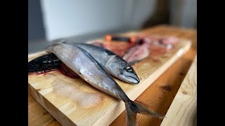 Sløye og filetere fisk [upl. by Aniakudo]