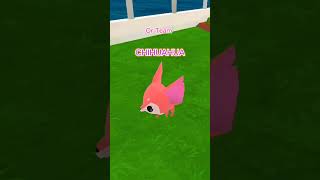 Which is your favorite aj ajpw animaljam funny shorts ajpwfunny [upl. by Aig545]