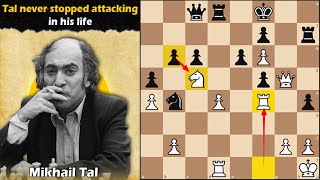 Tal never stopped attacking in his life  Tal vs Golombek 1958 [upl. by Gyasi]