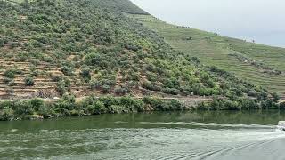 Cruise Boats on the Douro River in the Douro Valley [upl. by Sikleb47]