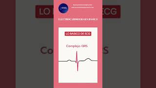 ⚡ELECTROCARDIOGRAMA ECG Básico💓 [upl. by Ahtael141]