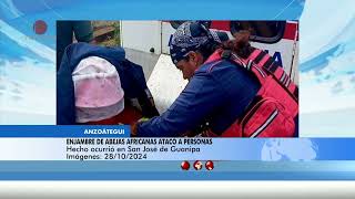 Enjambre de abejas africanizadas atacó a comunidad  El noticiero emisión meridiana 281024 [upl. by Brockwell]