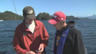 Tips on Anchovie Rigs for big Salmon [upl. by Mushro]