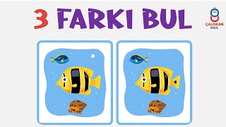 3 FARKI BUL [upl. by Annaitat]