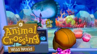 Animal Crossing Wild World  BIG NEW Fish [upl. by Ayikan]