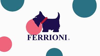 Animación Logo Ferrioni [upl. by Mcclary967]