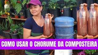 Como usar o Chorume da Composteira Primeira Retirada Abubo Orgânico Biofertilizante [upl. by Perretta223]