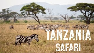 TANZANIA SAFARI  4 days [upl. by Ailak981]