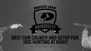 Best Gun Caliber and Setup for Hog Hunting at Night [upl. by Connell]