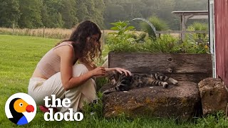 Couple Finds Out Their New House Comes With A Cat  The Dodo [upl. by Orsa693]