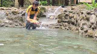 Wash The pond change The Water Drop The Fish Into The PondFarm Construction  Lý Thị Ninh [upl. by Annyrb933]