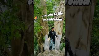 Jide Lakk 👍 Naal Baneya Ae Luck 💌 Variyan Da Mere alkk Naal Mankirtaulakhmusic newsong likes [upl. by Marjie362]