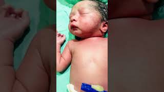 New born baby girl trending viva viralvideo cute twins beautiful babygirl youtube babygirl [upl. by Akerdnahs]