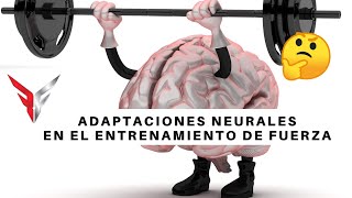 ADAPTACIONES NEURALES  ENTRENAMIENTO DE FUERZA [upl. by Aruasi]