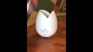 How to use and clean a Young Living Home Diffuser [upl. by Nywra]