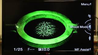 Caltech Introductory Physics Lab PART 2 How the Electrodynamic Ion Trap Works [upl. by Cockburn]