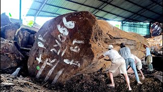 Kayu jati purba zaman majapahit digergaji bahan rumah jogjo sultan senilai 650JT I sawmill [upl. by Aniela]