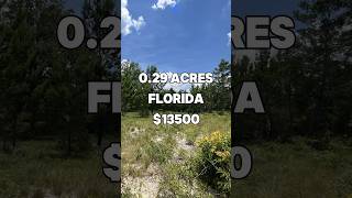 029 Acres for Sale in Chipley FL for 13500 Taxes are 135year No HOA and not in a flood zone [upl. by Frans]