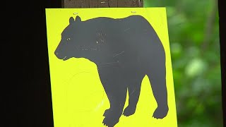 Authorities say black bear that injured woman in Portage campground not the same bear killed by F [upl. by Eilujna570]