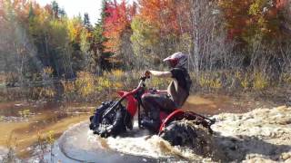 6quot Lifted 3 wheeler on 30quot Silverbacks RIPPIN MUD [upl. by Anastasia]