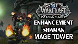 Enhancement Shaman  Mage Tower  Dragonflight Season 3 1025  133 Combat Time [upl. by Lhary]