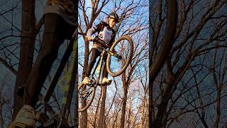 mtb mtbmb music mtbf song bikelife mtbbc songlyrics mountainbikefb [upl. by Alhsa366]