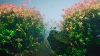 Rotala Aquascape in a Glimpse [upl. by Petronella]