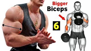 6 Biceps Exercises For Bigger Arms  Biceps Workout [upl. by Ahsiret]