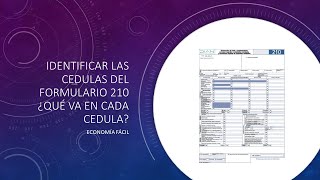 Identificar las cédulas del formulario 210 ¿Qué va en cada cédula [upl. by Beniamino]