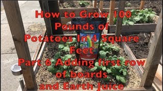 How to Grow 100 Pounds of Potatoes in 4 Square Feet  Part 6 Adding first row of boards [upl. by Hsakiv495]