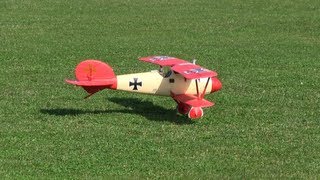 ParkZone Albatros DVa WWI BNF Review  Part 1 Intro and Flight [upl. by Rieger527]